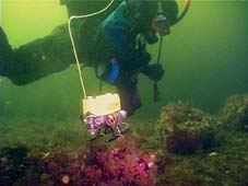 ROV GNOM accompanies diver